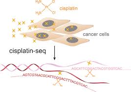Image result for Cisplatin
