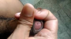 thanuja sex - XNXX.COM