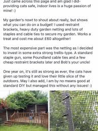 Keeping cats in or out of your yard is almost as difficult as herding them. For Those Of You Looking Kitty Gardens Public Like Page Facebook