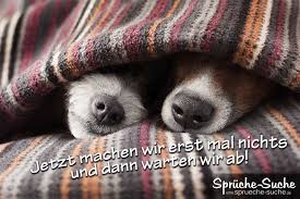 Heute Sind Wir Faul Die Lustigsten Spruchbilder