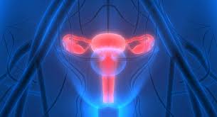 According to a study released on wednesday, may 19, 2021, screening and the hpv vaccine have led to dramatic drops in cervical cancers over the last two decades in the u.s., but the gains are. Cervical Cancer On The Rise In North Of Saint Lucia Says Awareness Organization My Vue News