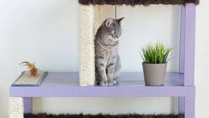 Ein echter hingucker und toller zeitvertreib für ihren liebling: 17 Ikea Hacks Fur Dich Und Deine Katze Buzz