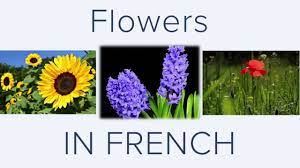 Maybe you would like to learn more about one of these? Flowers In French Language And As A Bonus A French Poem Recited Baudelaire Youtube