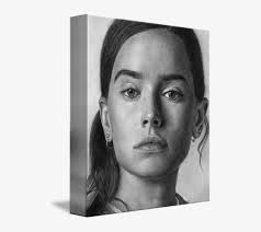 Daisy Ridley Pencll Drawing Portrait By David Rives