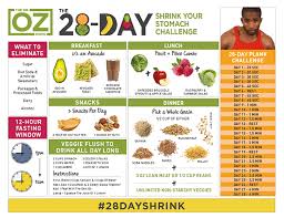 The 28 Day Shrink Your Stomach Challenge Instructions The
