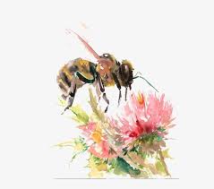 A bee can sting only once and then it dies. Bees Transparent Watercolor Honey Bee On Flower Drawing Png Image Transparent Png Free Download On Seekpng