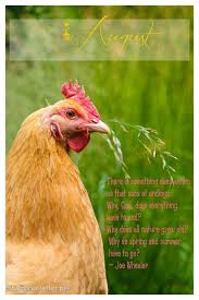 August Gardening August Garden Backyard Farming Gorgeous Gardens