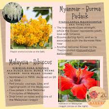 Maybe you would like to learn more about one of these? Nationalflowers Explore Facebook