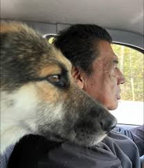 Needs help with a transport vehicle...or a mechanic who can fix the one  they have. 😢