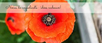 Achetez votre bouquet parfumé coquelicot 100ml de la marque durance sur bhv.fr. Des Idees Cadeaux Pour Vos Noces De Coquelicot