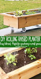 A raised bed on wheels is a garden on the go. Diy Rolling Planter Box Kleinworth Co