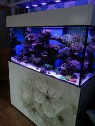 Maybe you would like to learn more about one of these? 49 Aquarium Cabinet Ideas Aquarium Aquarium Cabinet Aquarium Stand