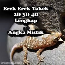 Setelah itu, mistry mencoba bertemu dengan. Kode Alam Togel Kejatuhan Tokek