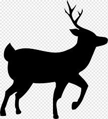 Rusa Silhouette Rusa Ekor Putih Siluet Tanduk Hewan Fauna Png Pngwing