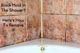 Apart from leaking pipes and flooding wipe dry your bathroom floor and walls after taking a shower or use a squeegee to remove as much of the water as possible Black Mold In The Shower Here S How To Remove It Mold Help For You