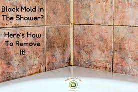 A musty odor could be an early indicator of black mold, and if you or someone in your home has an onset of sudden respiratory problems, its growth could be even more serious. Black Mold In The Shower Here S How To Remove It Mold Help For You