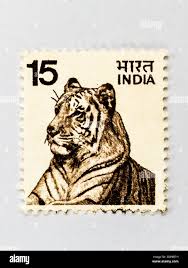 Vintage tiger india hi-res stock ...