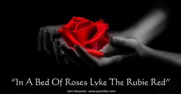 A Bed Of Roses