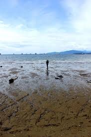 A Perfect Day In Vancity Poutine The Beach At Spanish Banks Stanley Park In Vancouver British Columbia Canada Beach British Columbia Vancouver British Columbia