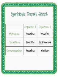 Symbiosis Sort Parasitism Mutualism Commensalism