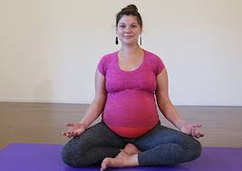 We are a cooperative yoga studio committed to the practice, teaching, and study of iyengar yoga. Dolphin Circle Archive The Dolphin Method