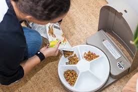 There are affordable automatic cat feeders on this list, as well as more technologically advanced feeders that are still reasonably priced. The Best Automatic Feeder For Cats And Small Dogs Reviews By Wirecutter