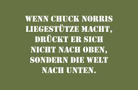 Chuck norris is an american martial artist and actor. Chuck Norris Waffen Fan Und Trump Liebling Panorama