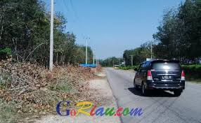 Home » all , gadis , nekat , public » ngajak cewek desa ml di kebun karet. Jalan Kebun