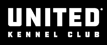 American pit bull terrier, american staffordshire terrier, staffordshire bull terrier, any mix of the previous breeds, or any other dog or breed deemed aggressive. Https Www Ukcdogs Com Docs Showforms Breed Abbreviations Pdf