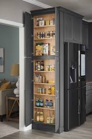 Storage Side Of Fridge In 2020 Modern Kitchen Storage Tall Kitchen Cabinets Kitchen Cabinet Storage