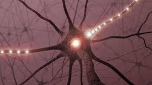 Interview Schwerhorigkeit Und Tinnitus Fordern Demenz Wer Schlecht Hort Baut Geistig Ab Rbb