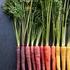 La Nourriture Graphique Et Coloree De Brittany Wright Fruits Et Legumes Art Alimentaire