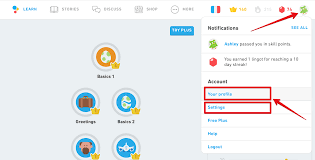 What Is My Username Duolingo Help Center