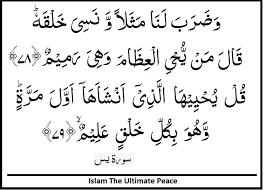 Surah Yasin Verses 78 79 Verses Quran Verses Islam
