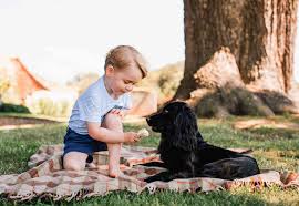Prince William, Kate Middleton Mourn Death of Dog Lupo