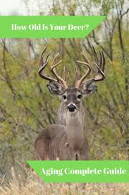 How Do You Age Deer Well We Have The Complete Guide To Aging Whitetail By Their Body And Aging Whitetail By The Whitetail Deer Hunting Big Deer Whitetail Deer