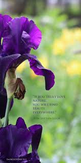 If You Truly Love Nature Empress Of Dirt Flower Quotes Iris Flowers Garden Quotes