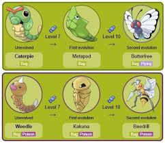 Images Of Pokemon Weedle Evolution Www Industrious Info