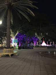 Maybe you would like to learn more about one of these? Sandy The Sand Tree At The End Of Clematis Street Picture Of Grandview Gardens Bed Breakfast West Palm Beach Tripadvisor