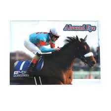 フェイト・t・ハラオウン モデル 腕時計 魔法少女リリカルなのは detonation. ã‚¯ãƒªã‚¢ãƒ•ã‚¡ã‚¤ãƒ« ã‚¢ãƒ¼ãƒ¢ãƒ³ãƒ‰ã‚¢ã‚¤ ã‚¸ãƒ£ãƒ'ãƒ³ã‚«ãƒƒãƒ— ãƒŽãƒ¼ã‚¶ãƒ³ãƒ›ãƒ¼ã‚¹ãƒ'ãƒ¼ã‚¯ ã‚ªãƒ³ãƒ©ã‚¤ãƒ³ã‚·ãƒ§ãƒƒãƒ— ç«¶èµ°é¦¬ ç«¶é¦¬ã‚°ãƒƒã‚ºã®é€šè²©ã‚µã‚¤ãƒˆ