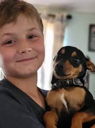 Lost dog found by troop one penny hill in Delaware