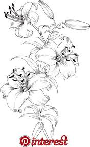 New Ideas Flower Sketches Beautiful Flower Drawings Flower Drawing