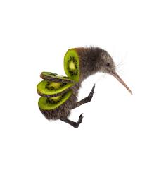 In Pictures Food For Thought Photoshopped Animals Hybrid Art Weird Animals