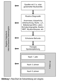 Herzinsuffizienztherapie mit diuretika, ace hemmern, betablockern, katecholamine und phosphodiesterasehemmer unterstützen das herz in der akuten krankheitsphase. Diagnostische Und Therapeutische Pfade Bei Sportlern Mit Verdacht Auf Myokarditis Eine Registudie