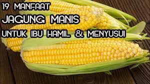 Check spelling or type a new query. Manfaat Jagung Rebus Untuk Ibu Hamil