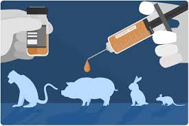 We did not find results for: The Ethics Of Animal Models In Preclinical Testing
