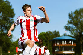 Image result for Mostuea brunonis