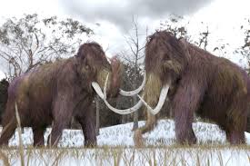 Resurrected Mammoth Dna Helps Explain Why The Species Went Extinct Engadget In 2020 Mammoth Wooly Mammoth Extinction