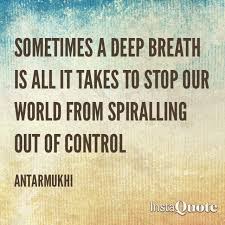 The quote belongs to another author. A Little Calm Goes A Long Way Antarmukhi