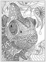 The first lizard fossils were dated back about 65 million years ago. Best Of Animal Mandala Coloring Pages Collection Printable Coloring Sheet Coloring Pages